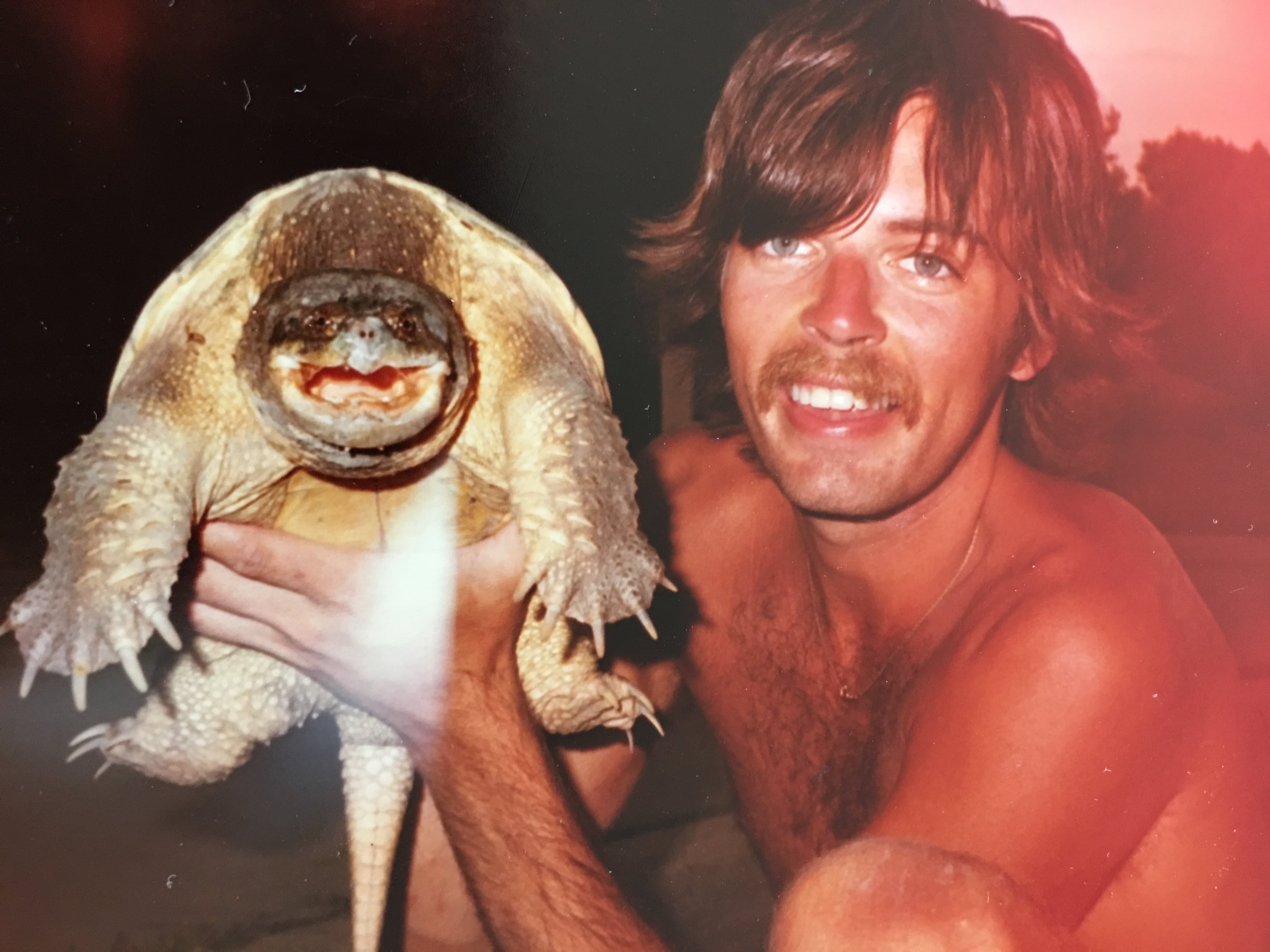 Alligator Snapping Turtle image