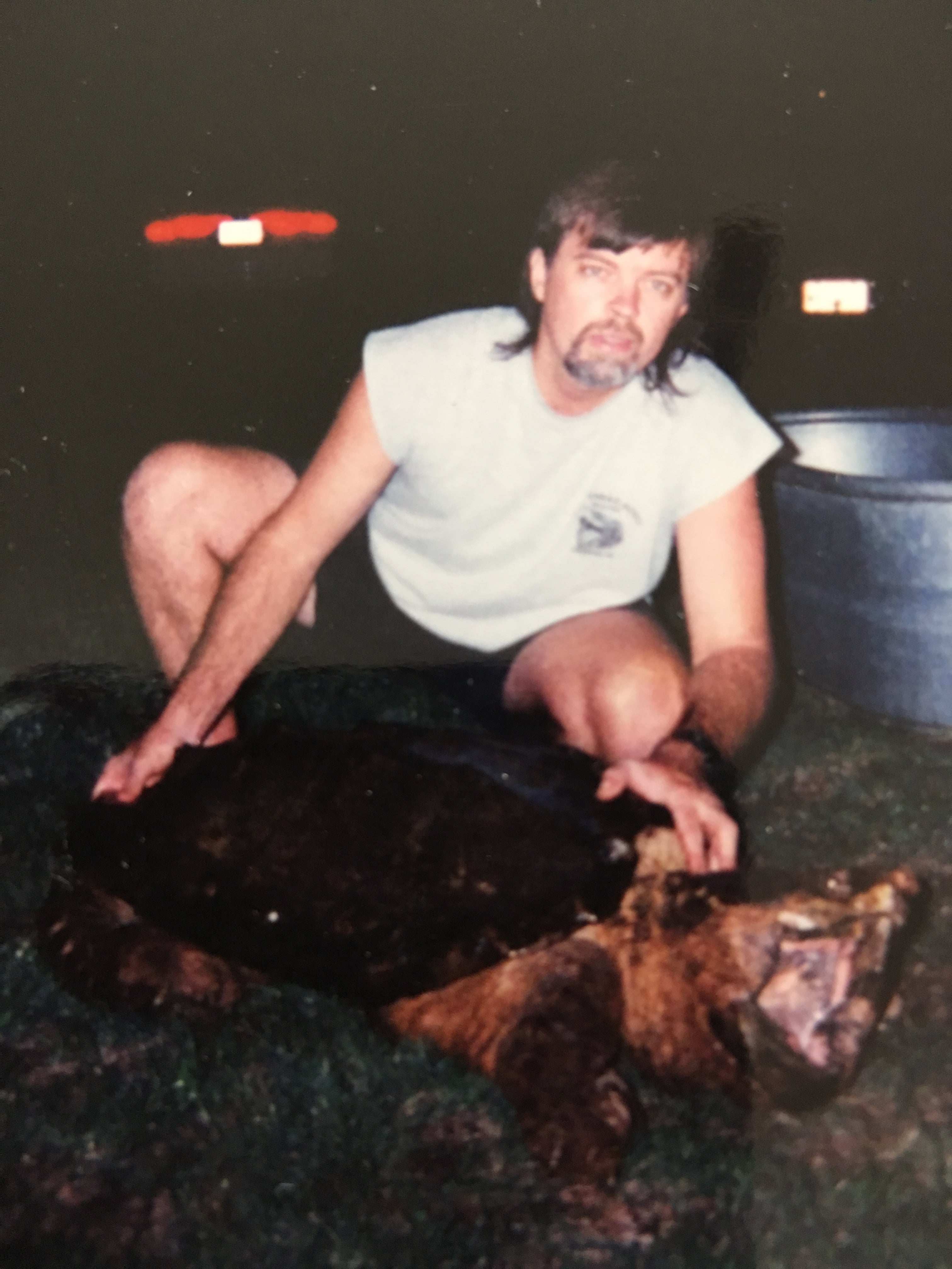 Alligator Snapping Turtle image