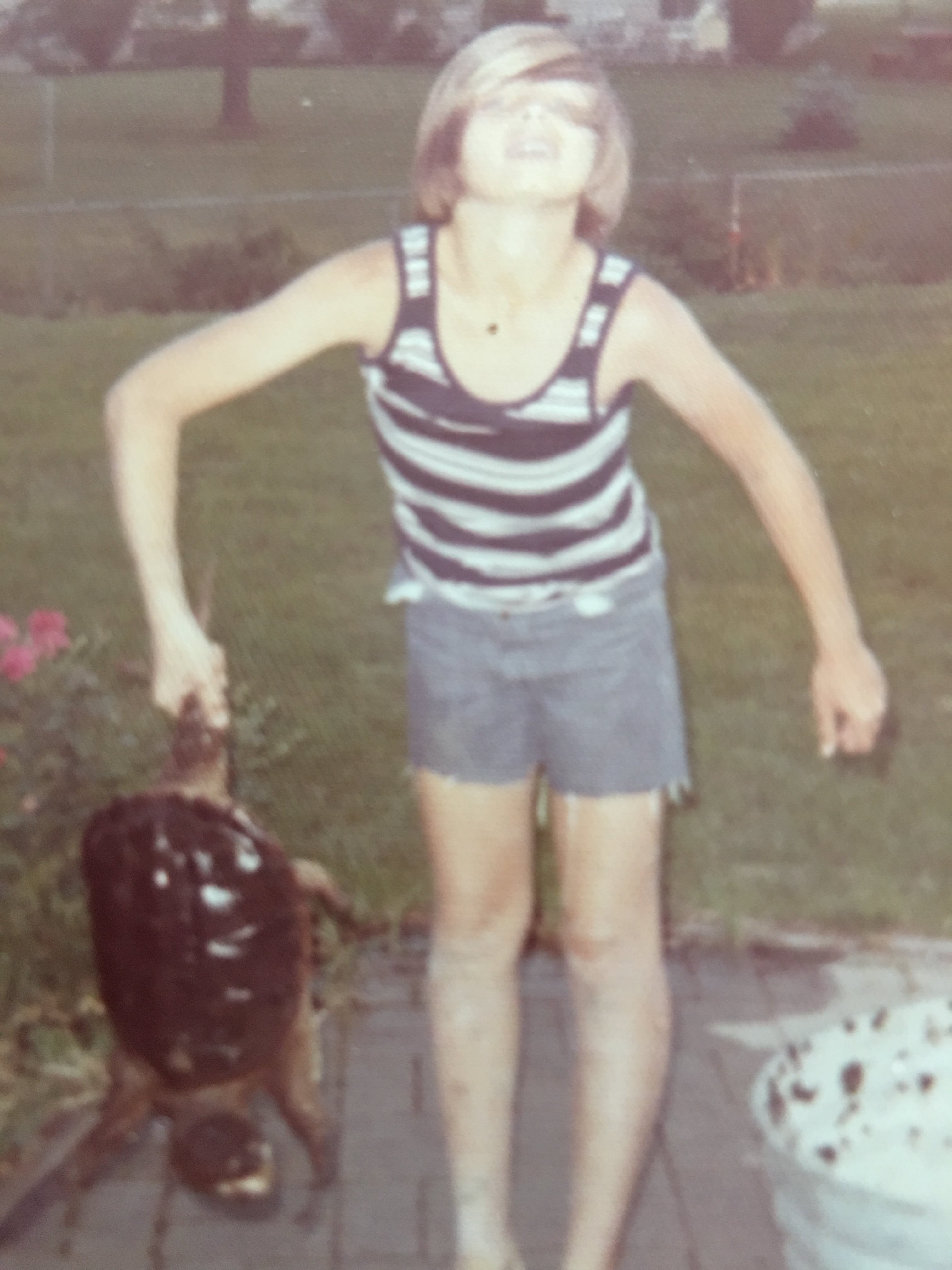 Alligator Snapping Turtle image